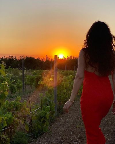 Ayşe Tolga seksi ifşa fotoğrafı 14