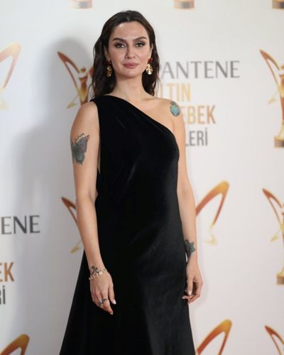 Birce Akalay seksi ifşa fotoğrafı 63140