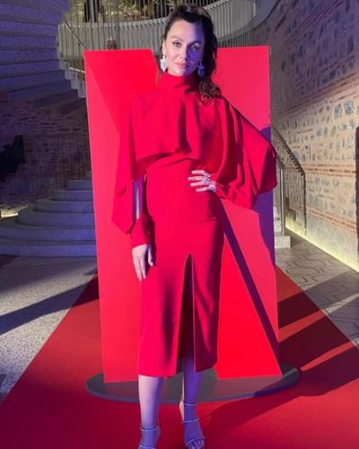 Birce Akalay seksi ifşa fotoğrafı 63125