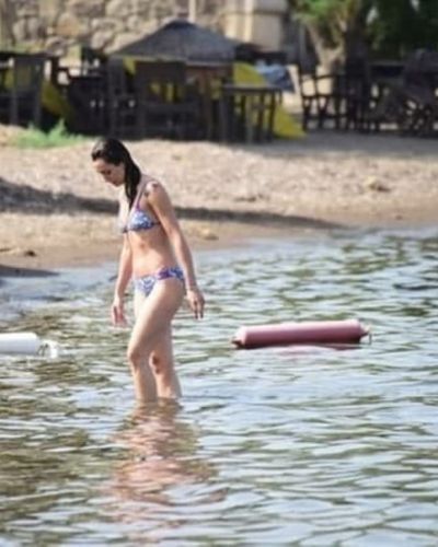 Birce Akalay seksi ifşa fotoğrafı 323