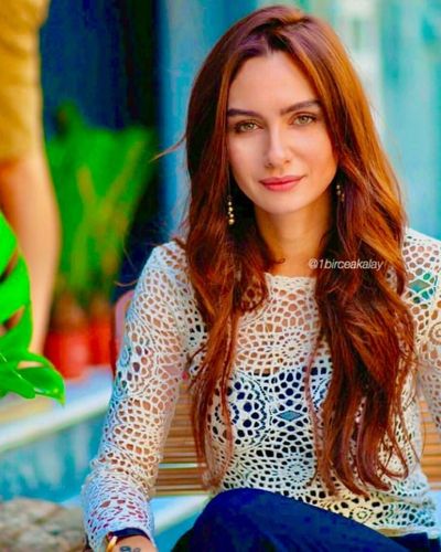 Birce Akalay seksi ifşa fotoğrafı 363