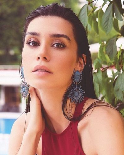 Burcu Kıratlı seksi ifşa fotoğrafı 41