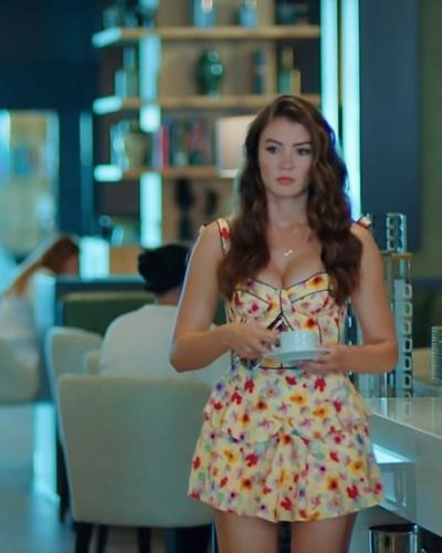 Burcu Özberk seksi ifşa fotoğrafı 92841