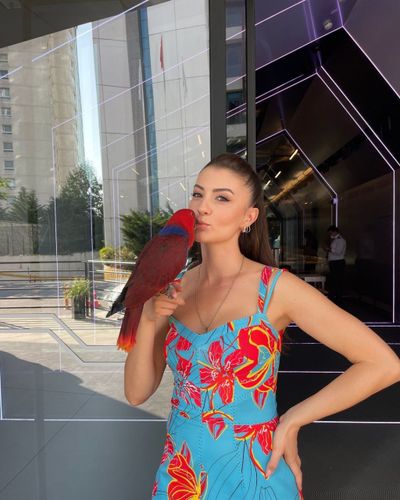 Burcu Özberk seksi ifşa fotoğrafı 92736