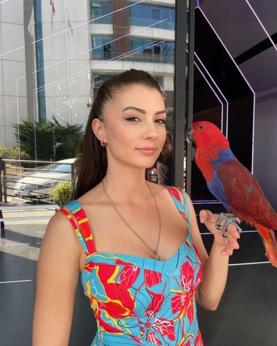 Burcu Özberk seksi ifşa fotoğrafı 92722