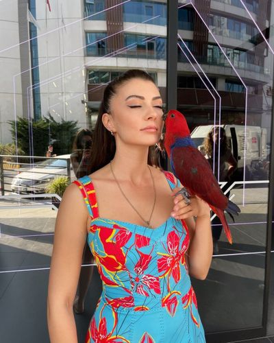 Burcu Özberk seksi ifşa fotoğrafı 92696
