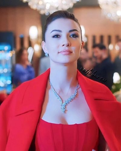 Burcu Özberk seksi ifşa fotoğrafı 93773