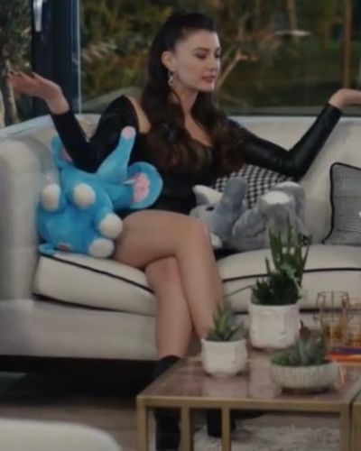 Burcu Özberk seksi ifşa fotoğrafı 93266