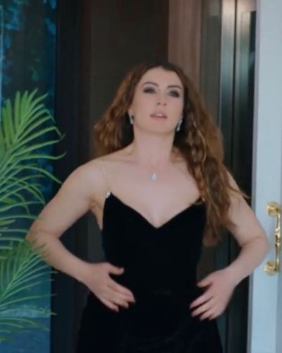 Burcu Özberk seksi ifşa fotoğrafı 93189