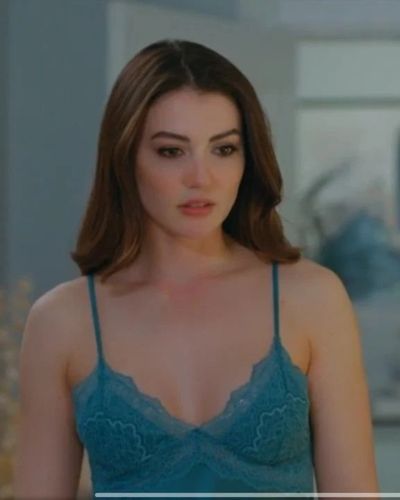 Burcu Özberk seksi ifşa fotoğrafı 93108