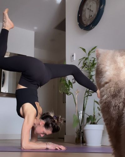 Damla Can seksi ifşa fotoğrafı 223
