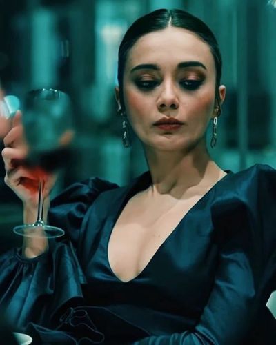 Damla Sönmez seksi ifşa fotoğrafı 90789