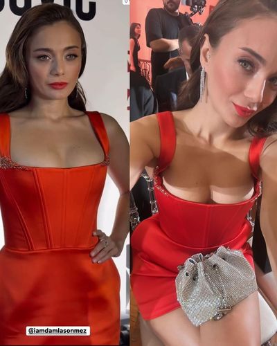 Damla Sönmez seksi ifşa fotoğrafı 668
