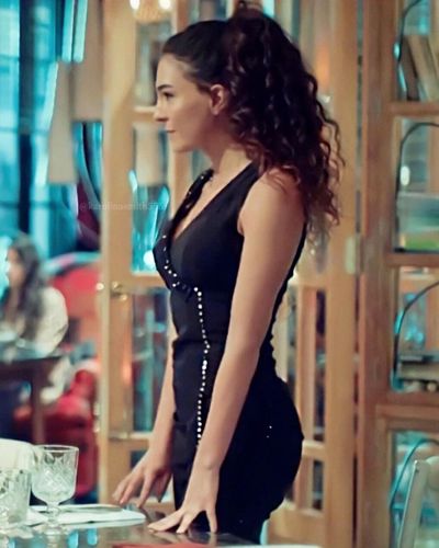 Ebru Şahin seksi ifşa fotoğrafı 241