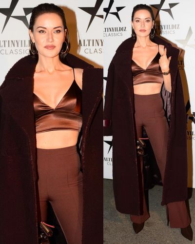 Fahriye Evcen seksi ifşa fotoğrafı 36673