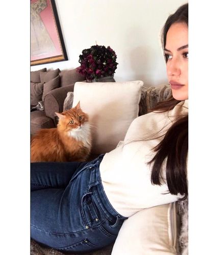 Fahriye Evcen seksi ifşa fotoğrafı 647
