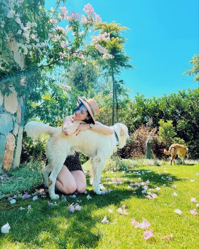 Hazal Subaşı seksi ifşa fotoğrafı 31688
