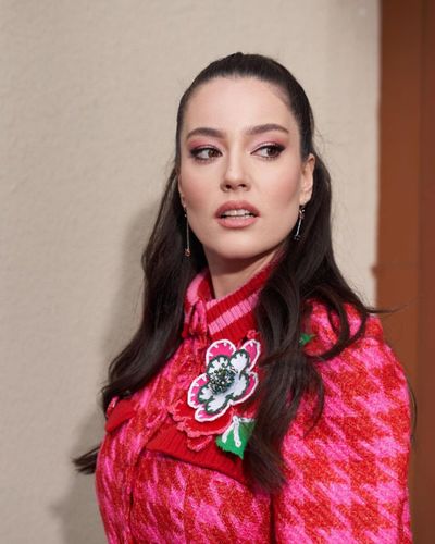 Pelin Akil seksi ifşa fotoğrafı 73076