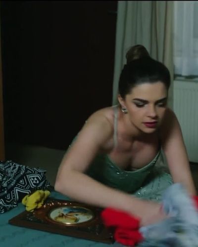 Pelin Karahan seksi ifşa fotoğrafı 481