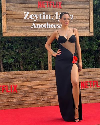 Seda Bakan seksi ifşa fotoğrafı 71795