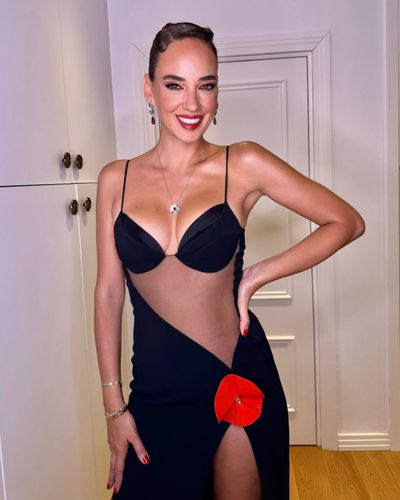Seda Bakan seksi ifşa fotoğrafı 71776