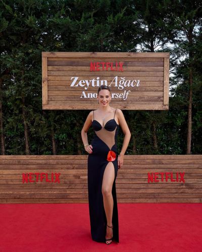 Seda Bakan seksi ifşa fotoğrafı 71729