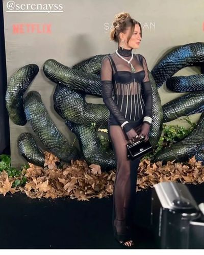 Serenay Sarıkaya seksi ifşa fotoğrafı 69759